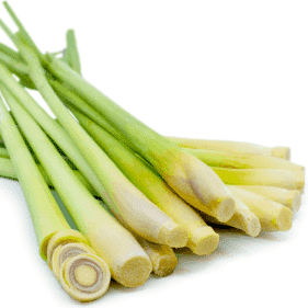 Tisana al Lemongrass