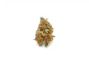 Cannabis light Super Skunk