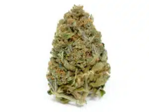 Cannabis light Amnesia Infiorescenza
