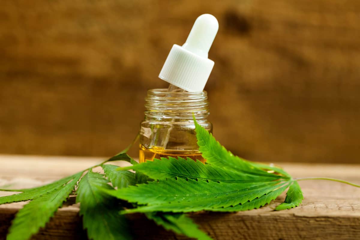 CBD oil: l'olio di Cannabis e i benefici per la salute » Crystalweed®