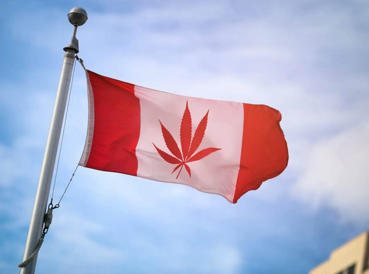 marijuana legale legalizzazione Canada