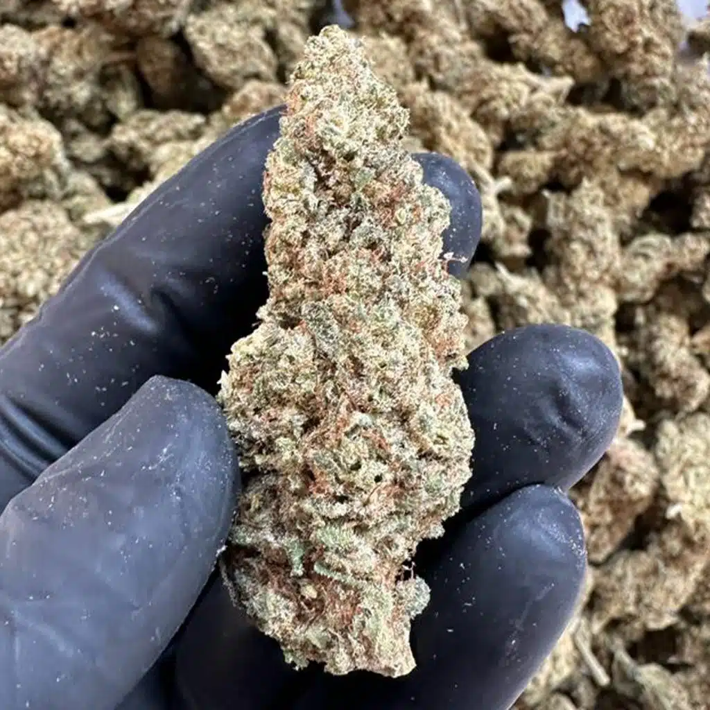 lemon-haze