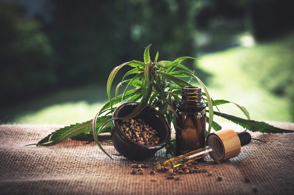cbdoliocani il CBD per animali fa bene?