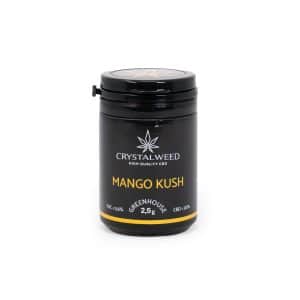 Mango Kush cannabis light barattolo 2,5 grammi