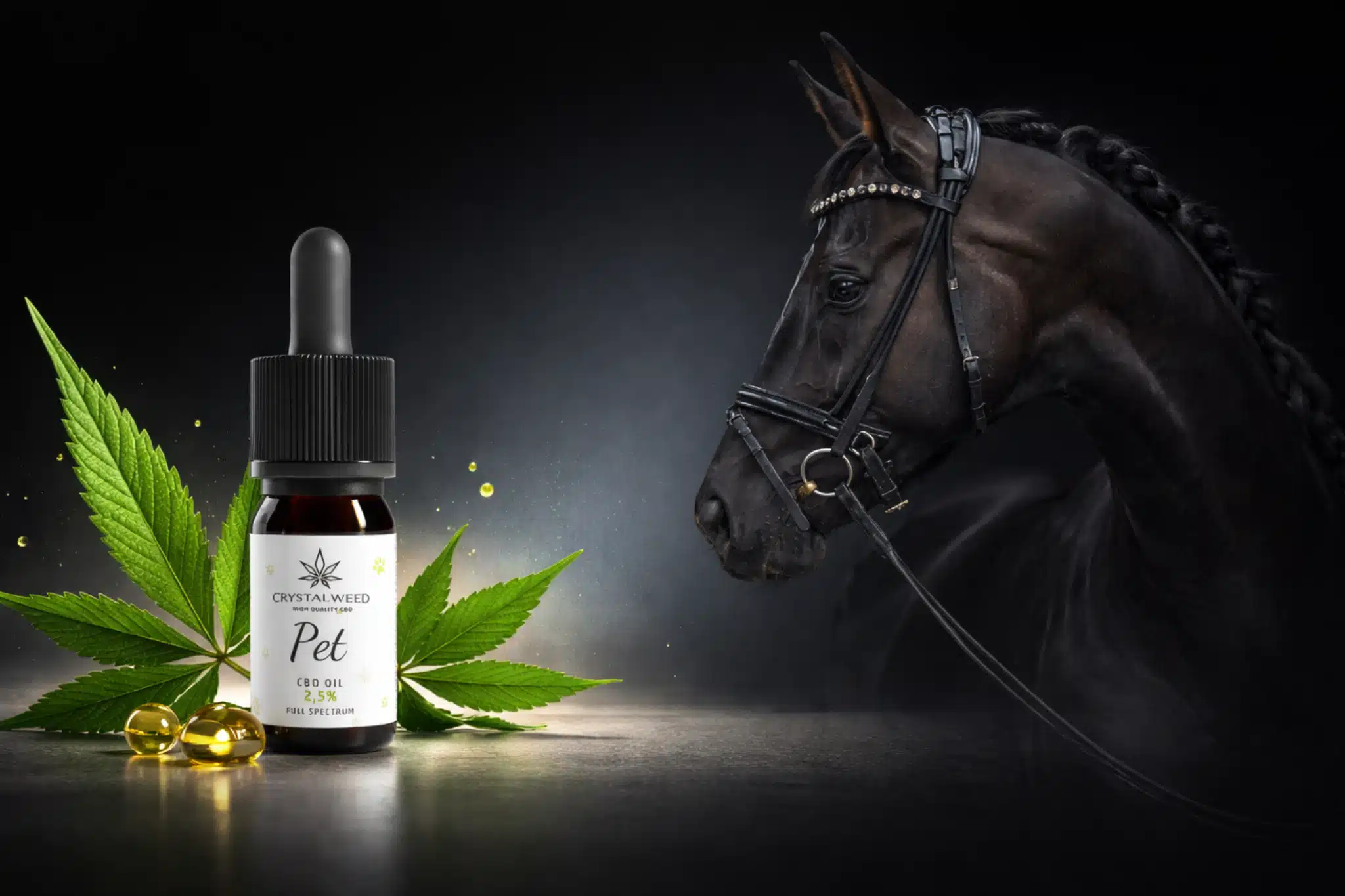 Primo piano di un cavallo sportivo con briglia accanto a un flacone di olio CBD Crystalweed, con foglie di canapa e gocce d&rsquo;olio su sfondo scuro elegante.