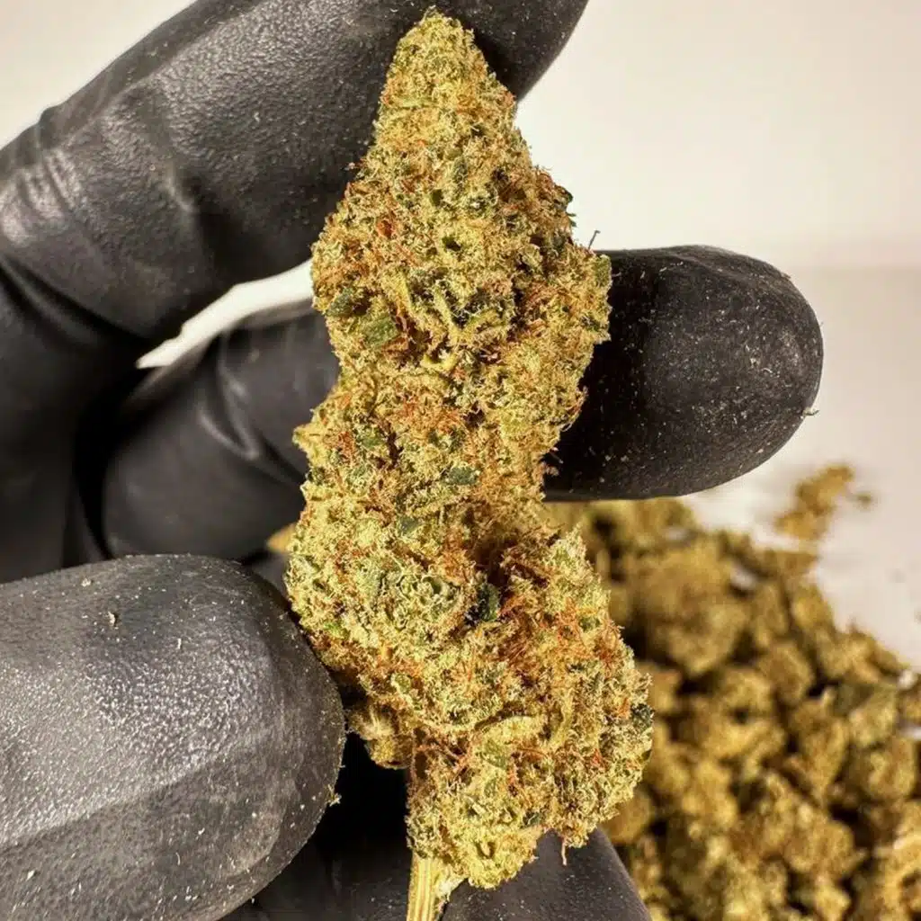 Pineapple