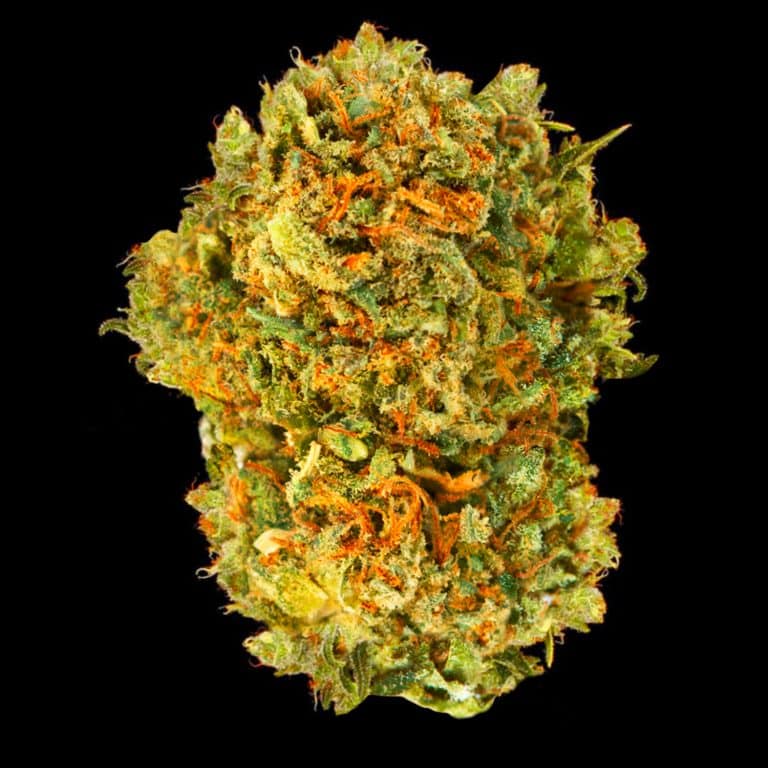 AK47 ~ cannabis light