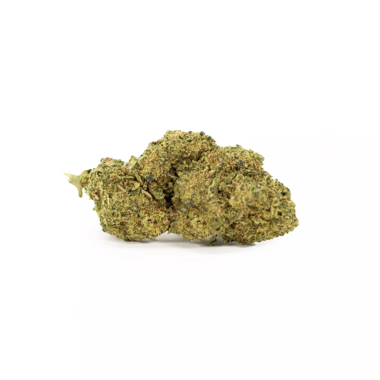 Apple Pie cannabis light foto fiore