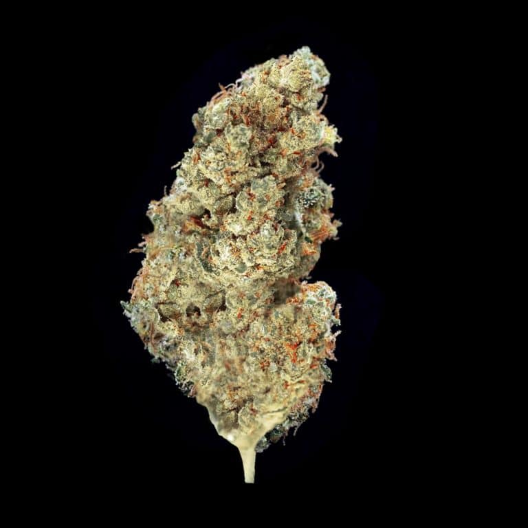 White Widow ~ cannabis light