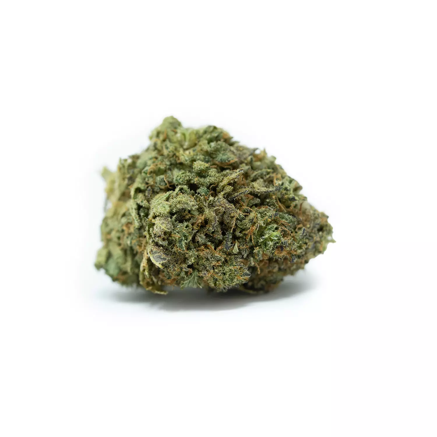 gelato cannabis light