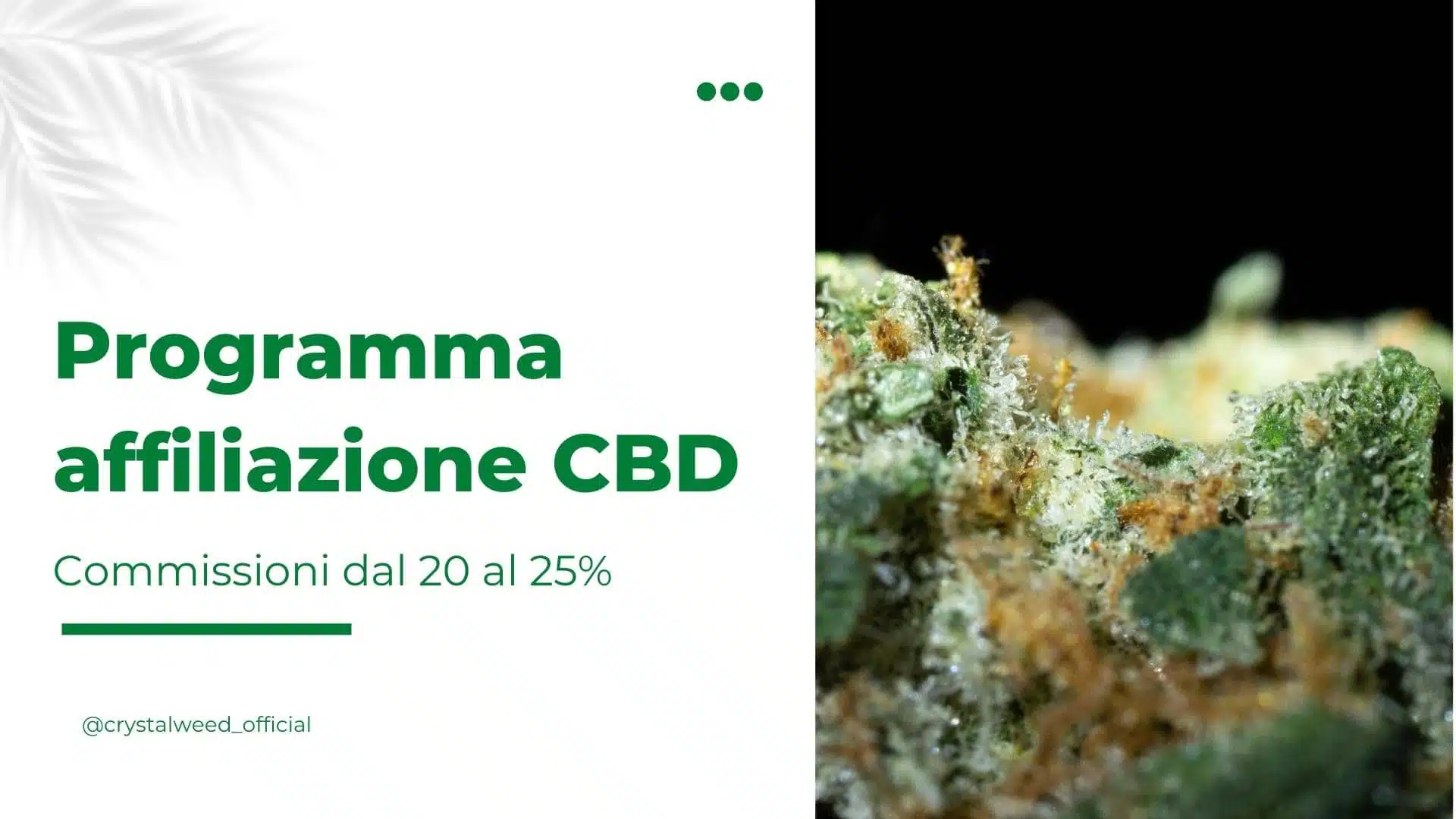 programma affiliazione CBD Crystalweed