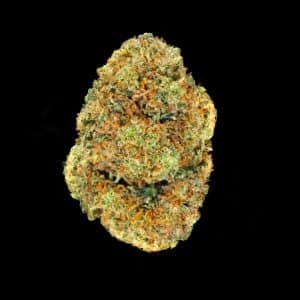 Primo piano di infiorescenza Strawberry Haze CBD Crystalweed, compatta e resinosa, su sfondo nero.