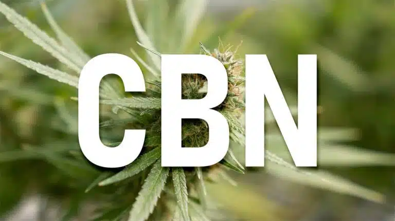 CBN cannabinolo