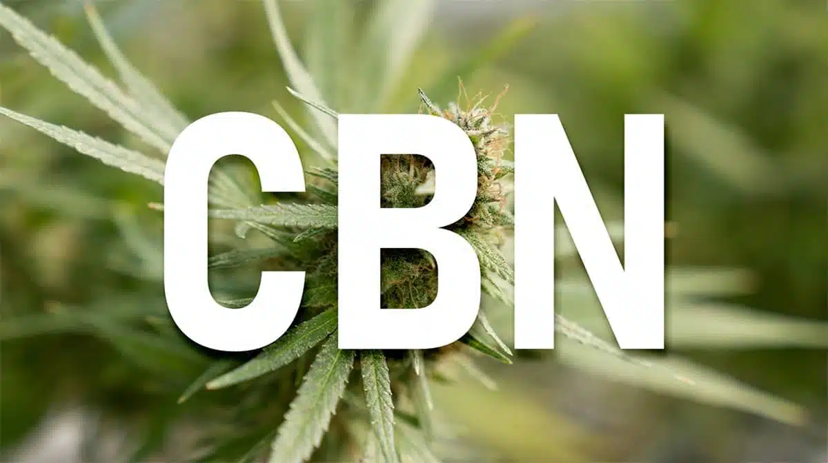 CBN cannabinolo