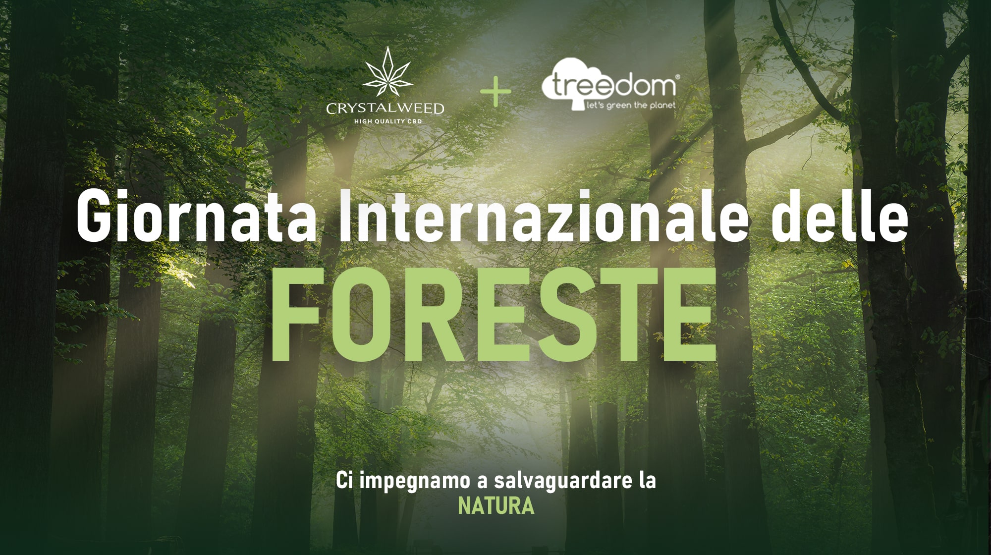 giornata internazionale foreste