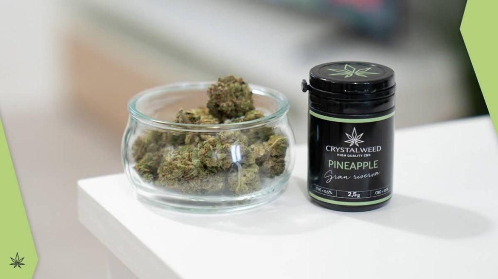 Marijuana light: vendita, possesso non sono più un reato