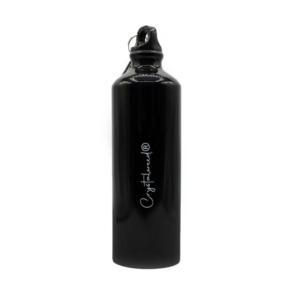 borraccia termica alluminio 750ml retro