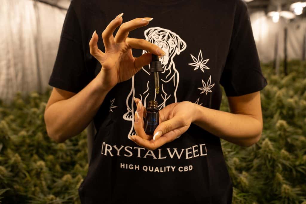 olio cbd crystalweed effetto quanto ci mette olio cbd a fare effetto
