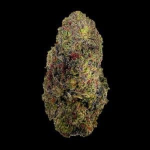 Primo piano di infiorescenza Mac CBD Crystalweed, compatta e resinosa, su sfondo nero.