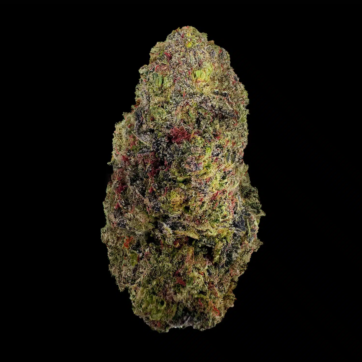 Primo piano di infiorescenza Mac CBD Crystalweed, compatta e resinosa, su sfondo nero.