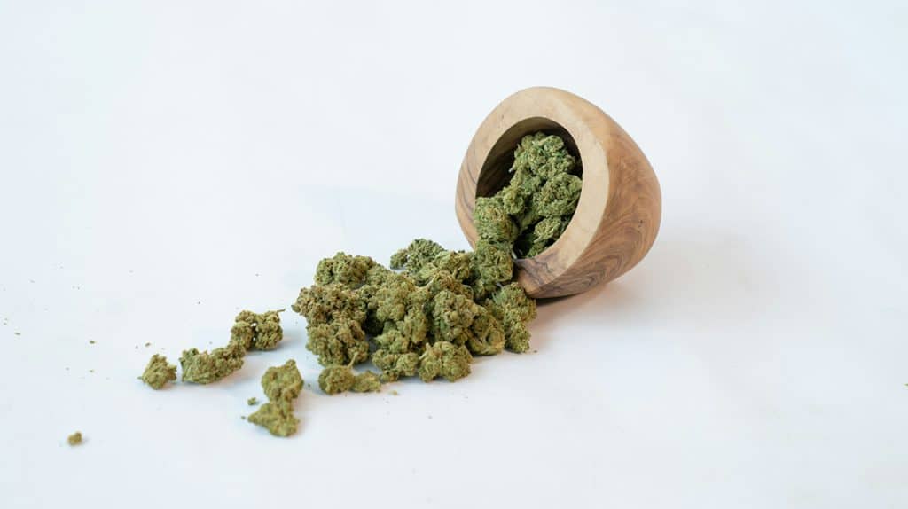 Cannabis legale: leggi e limiti in Europa nel 2026