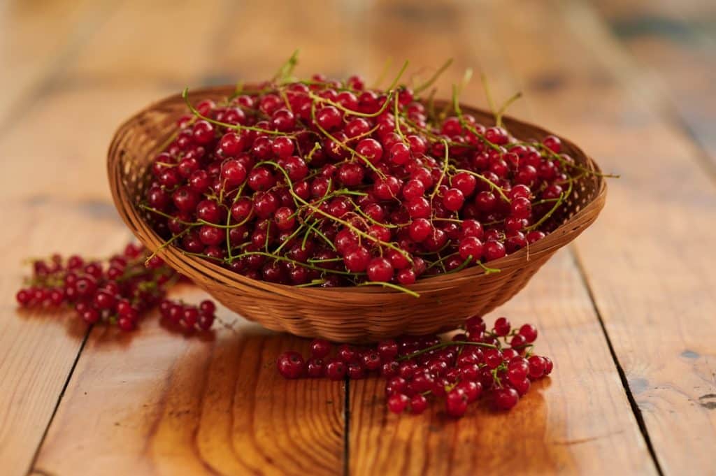 berberina rimedio naturale diabete