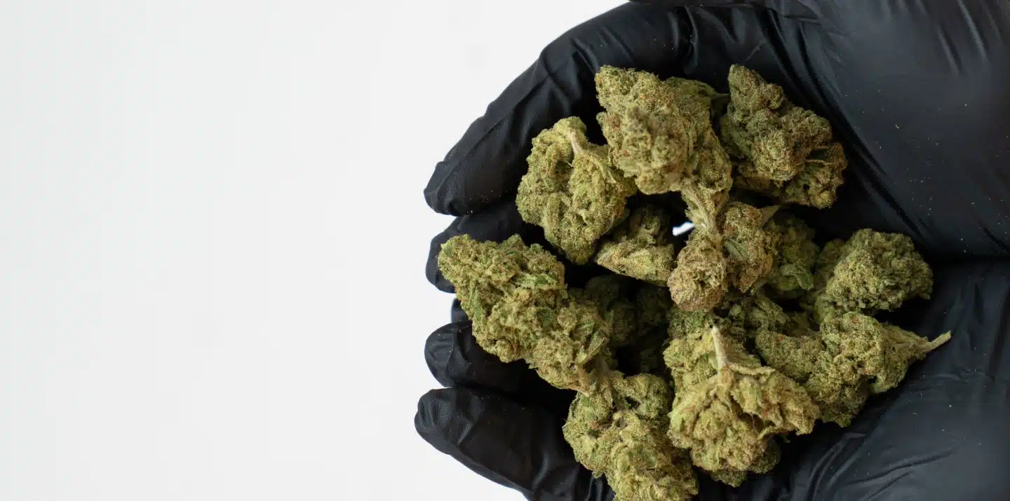Cannabis light