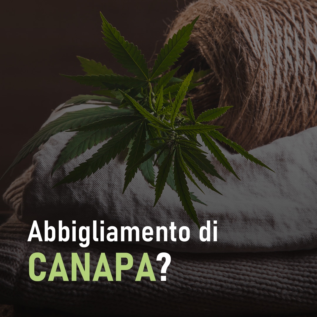 Abbigliamento di canapa