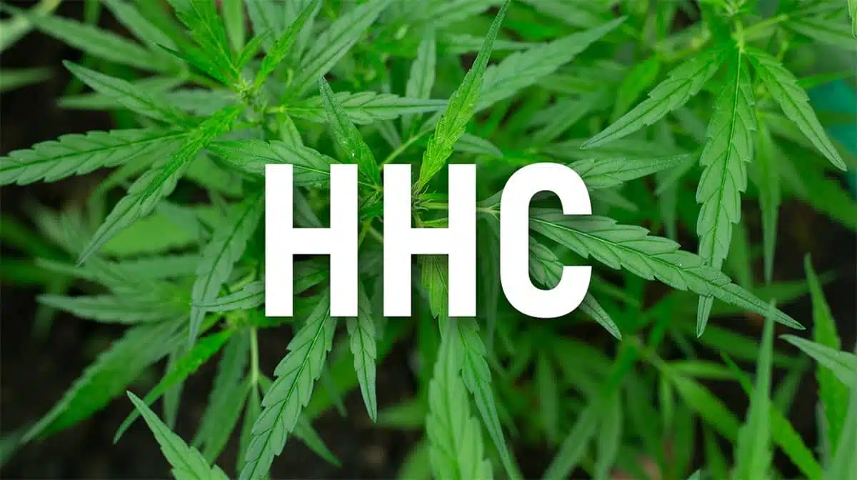 HHC