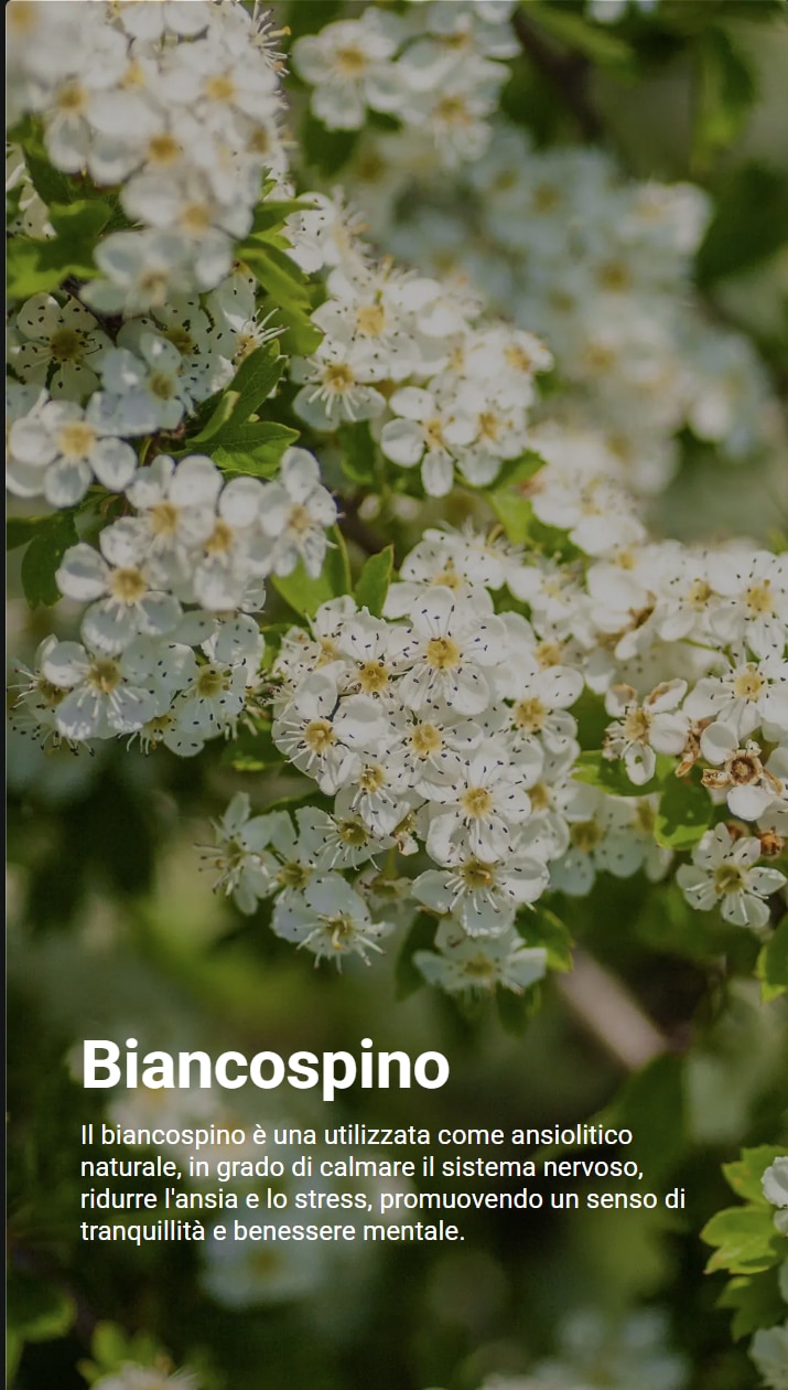 L'immagine rappresenta un ramo fiorito di biancospino. Il testo spiega che il biancospino è un rimedio naturale utile per calmare il sistema nervoso e favorire il rilassamento in caso di ansia e tensione