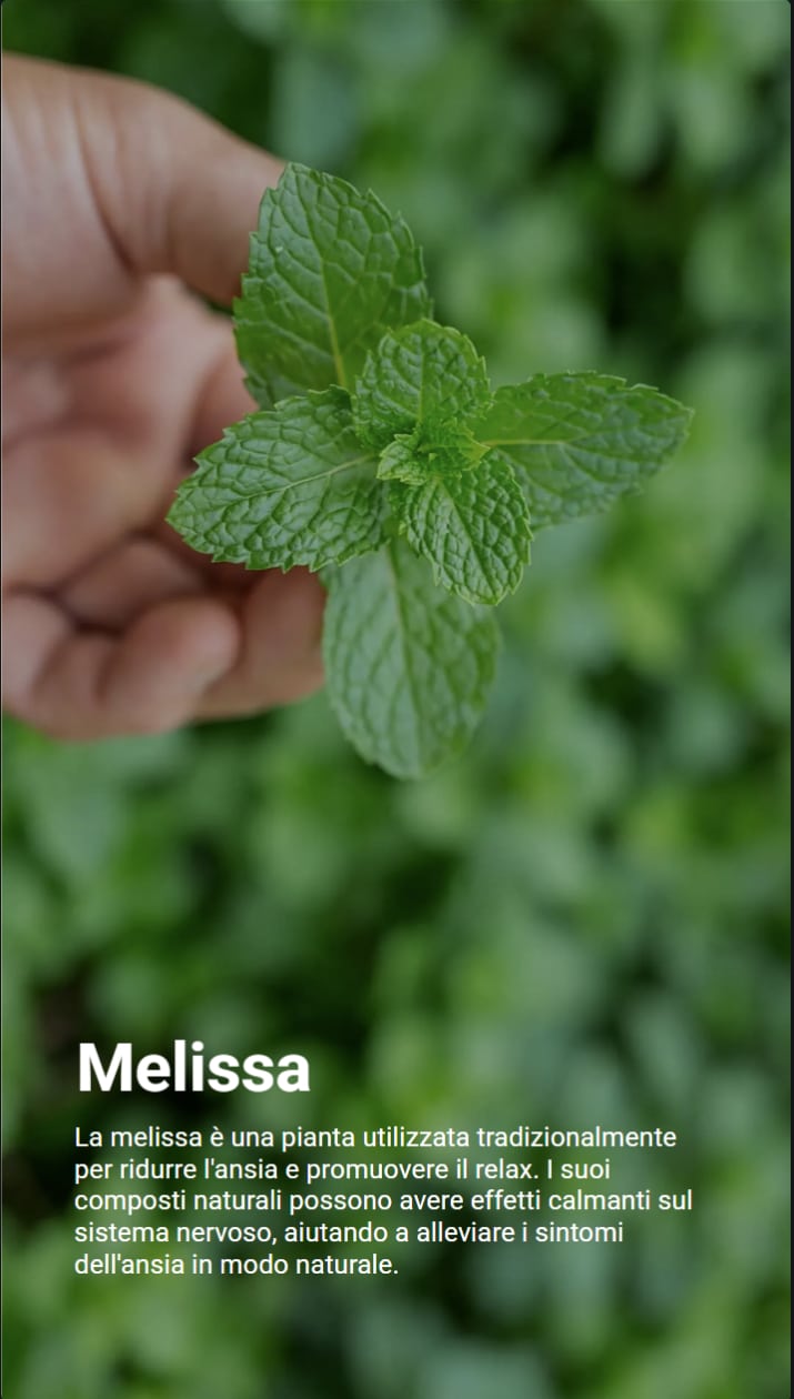 Mano che tiene tra le dita alcune foglie di melissa fresca. Il testo dice come questa pianta sia usata da secoli per alleviare ansia e stress e favorire il rilassamento psicofisico.