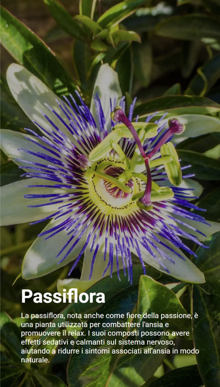 L'immagine rappresenta un fiore di passiflora, dai petali bianchi e filamenti viola e blu. Il testo evidenzia le sue proprietà sedative e calmanti sul sistema nervoso, utili per favorire il rilassamento e contrastare i sintomi della sindrome ansiosa.