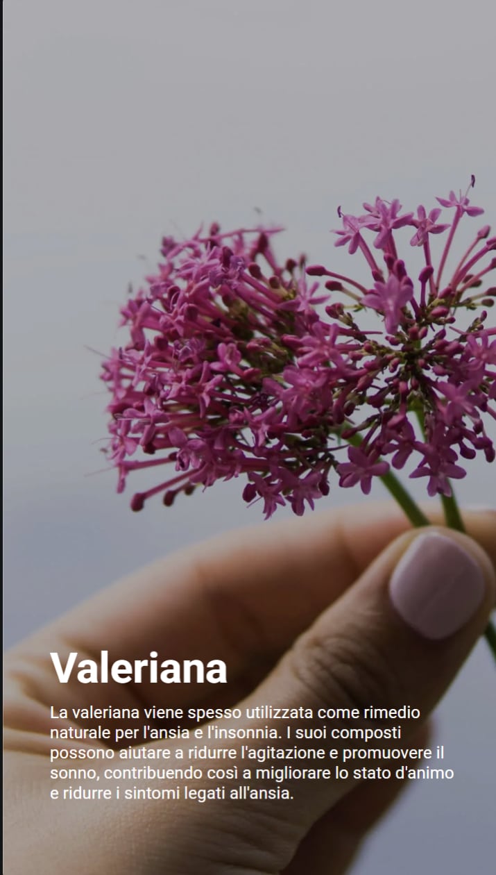 Mano che tiene un piccolo bouquet di fiori di valeriana di colore rosa acceso. Il testo sottolinea come la valeriana sia utilizzata per combattere sia l’ansia che i disturbi del sonno, grazie ai suoi principi attivi che favoriscono il relax e migliorano lo stato d’animo.