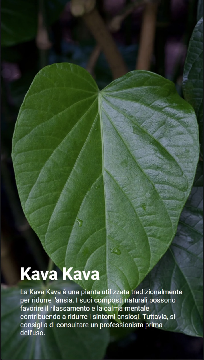 Immagine di una foglia di Kava Kava. il testo evidenzia come i suoi composti naturali aiutino a ridurre i sintomi d'ansia, ma specifica che è importante consultare un medico prima di assumerla.