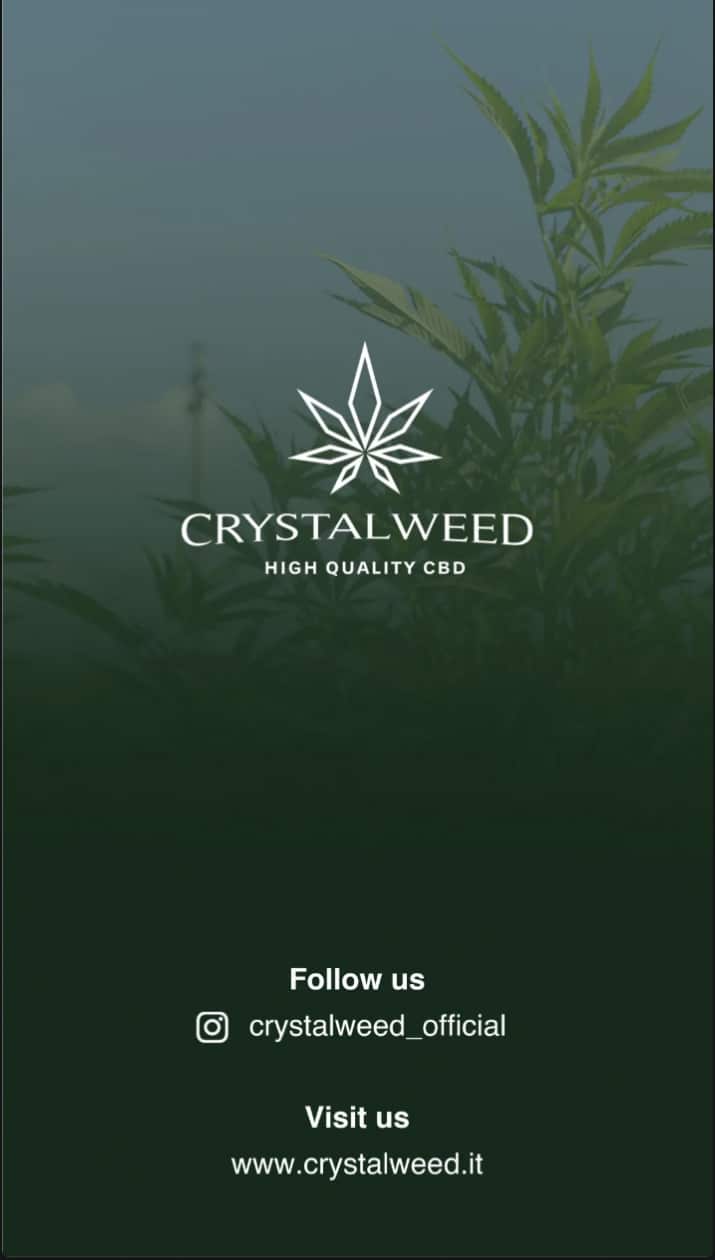 Immagine del logo di Crystalweed con una pianta di canapa sullo sfondo. Sono presenti i link della pagina Instagram e del sito web di Crystalweed.