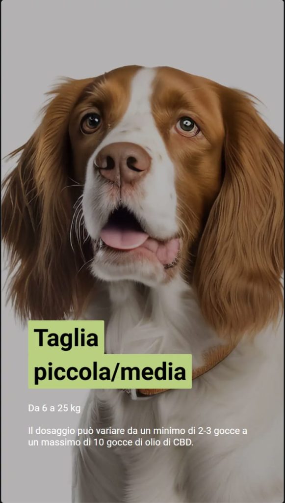 Foto di un cane di taglia media con orecchie lunghe e sguardo dolce. Il testo spiega che i cani di taglia piccola e media, tra 6 e 25 kg, dovrebbero prendere tra 2-3 fino a un massimo di 10 gocce.