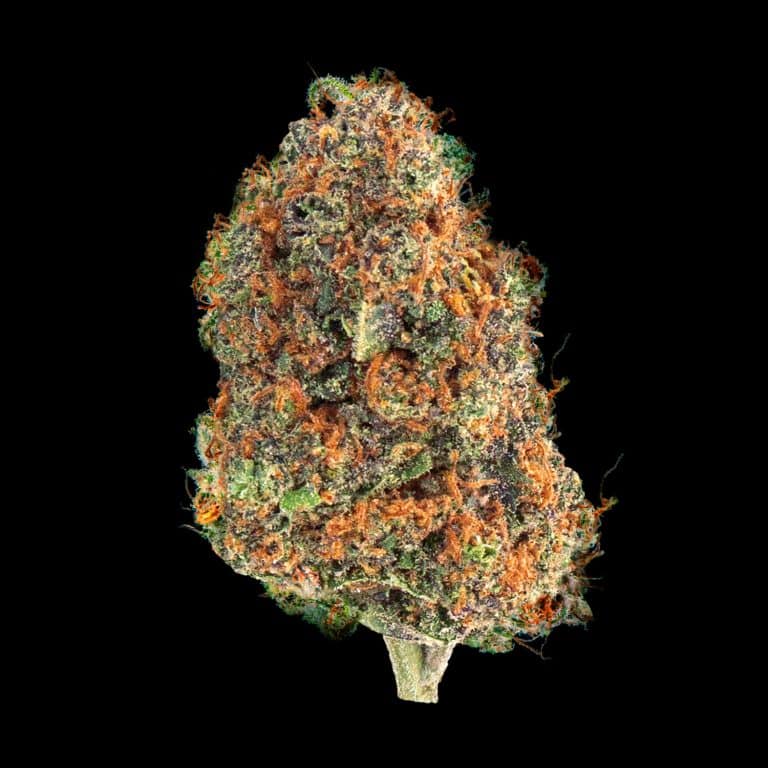 Gorilla Glue Gran Riserva ~ cannabis light