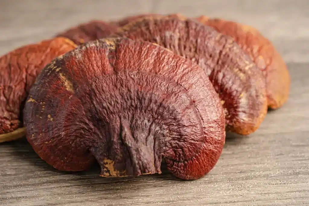 fungo Reishi antinfiammatorio naturale