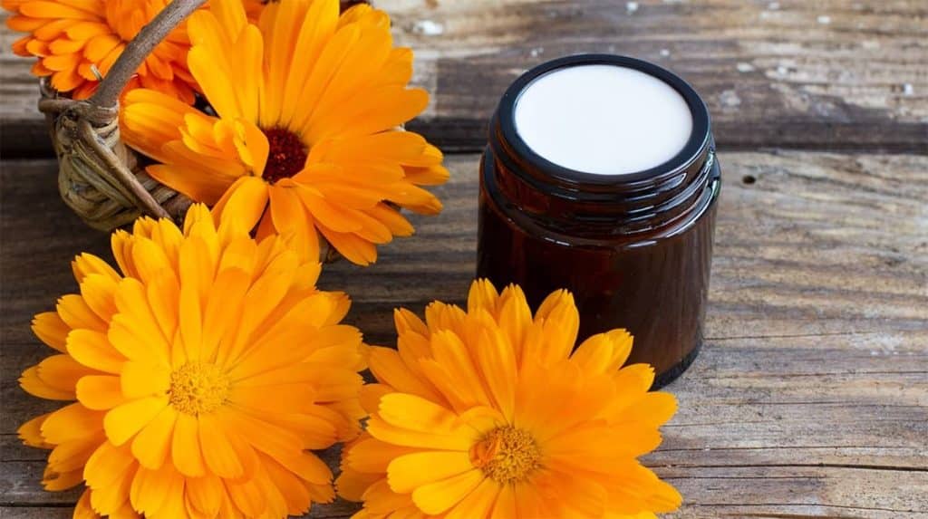 pomata arnica Pomata arnica