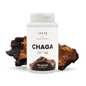 Chaga fungo medicinale 120 capsule