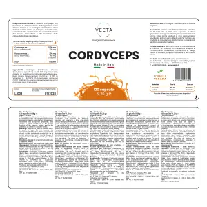Cordyceps fungo medicinale ingredienti