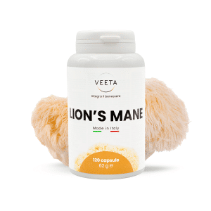 Lion's Mane fungo medicinale