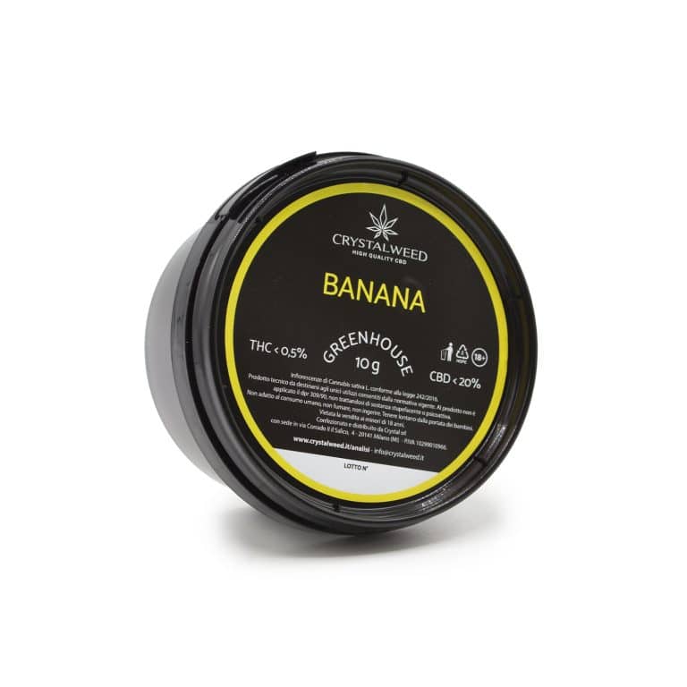 Banana ~ cannabis light small buds