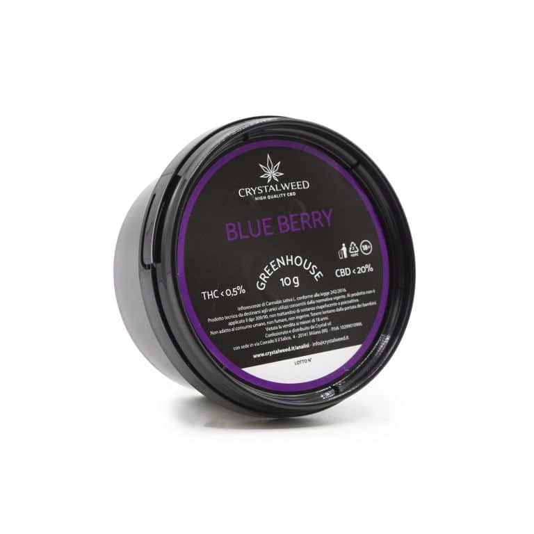 Blue Berry ~ cannabis light small buds