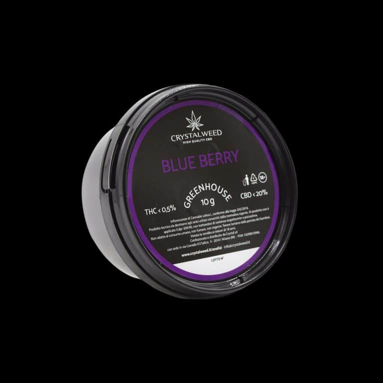 Blue Berry ~ cannabis light small buds