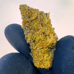 california-infiorescenza-cbd-video-crystalweed