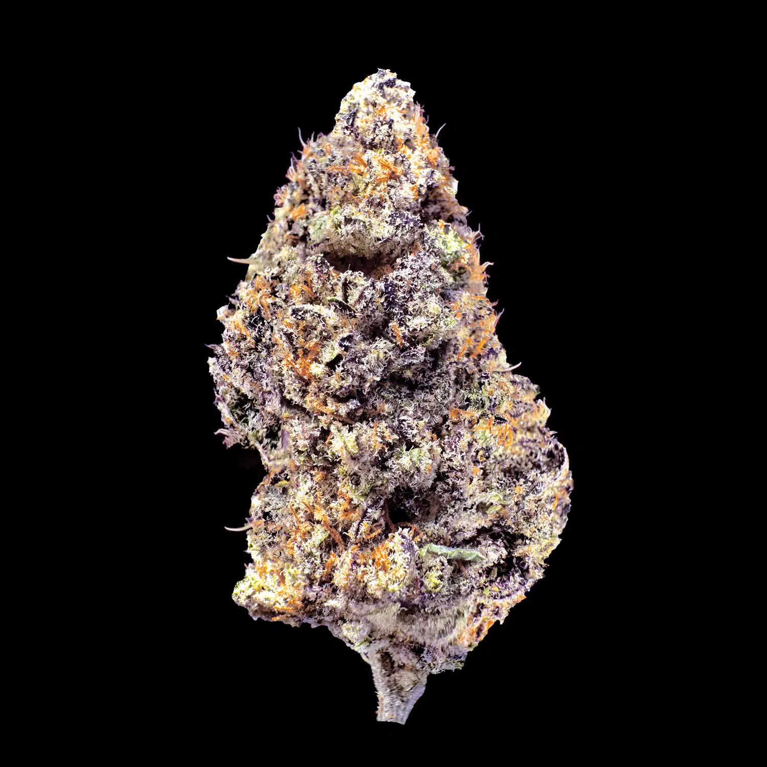 Primo piano di infiorescenza California CBD Crystalweed, ricca di tricomi e pistilli, fotografata da vicino.