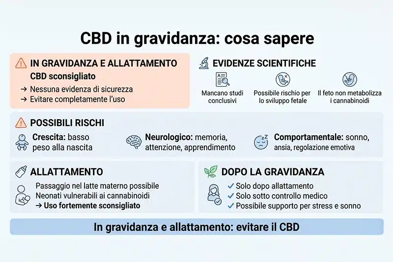 infografica cbd in gravidanza Infografica su CBD e gravidanza